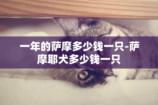 一年的薩摩多少錢一只-薩摩耶犬多少錢一只
