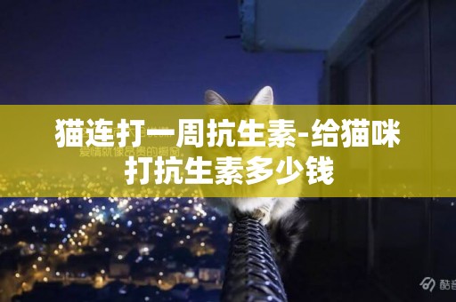 貓連打一周抗生素-給貓咪打抗生素多少錢