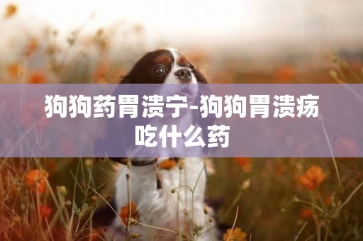 狗狗藥胃潰寧-狗狗胃潰瘍吃什么藥