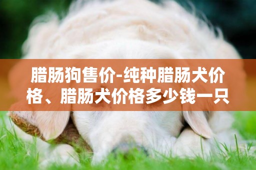 臘腸狗售價-純種臘腸犬價格、臘腸犬價格多少錢一只