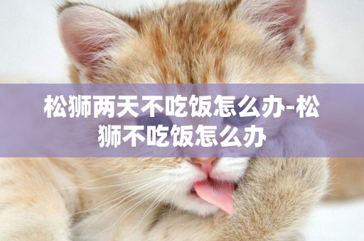 松獅兩天不吃飯怎么辦-松獅不吃飯怎么辦