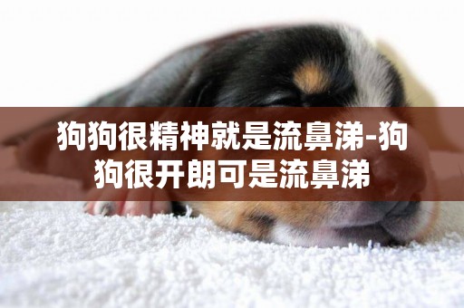 狗狗很精神就是流鼻涕-狗狗很開朗可是流鼻涕