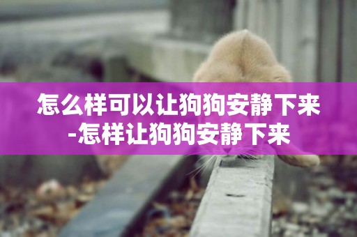 怎么樣可以讓狗狗安靜下來-怎樣讓狗狗安靜下來