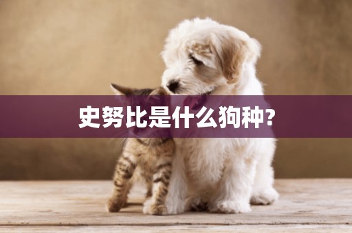 史努比是什么狗種?