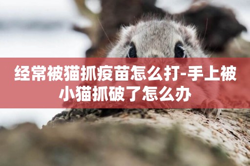 經常被貓抓疫苗怎么打-手上被小貓抓破了怎么辦