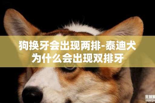 狗換牙會出現兩排-泰迪犬為什么會出現雙排牙