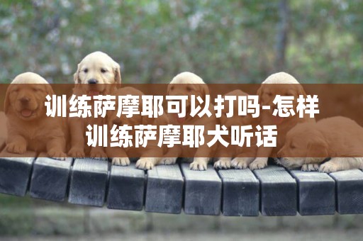 訓練薩摩耶可以打嗎-怎樣訓練薩摩耶犬聽話