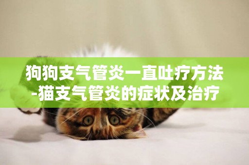 狗狗支氣管炎一直吐療方法-貓支氣管炎的癥狀及治療方法