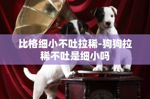 比格細小不吐拉稀-狗狗拉稀不吐是細小嗎