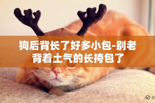 狗后背長了好多小包-別老背著土氣的長挎包了