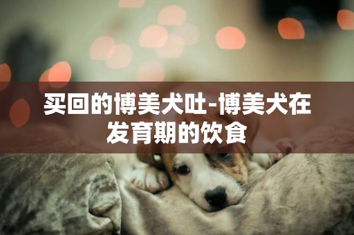 買回的博美犬吐-博美犬在發育期的飲食