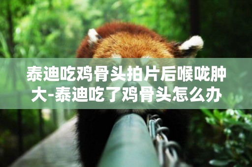 泰迪吃雞骨頭拍片后喉嚨腫大-泰迪吃了雞骨頭怎么辦