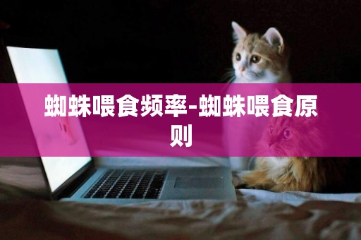 蜘蛛喂食頻率-蜘蛛喂食原則