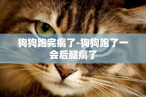 狗狗跑完瘸了-狗狗跑了一會后腿瘸了