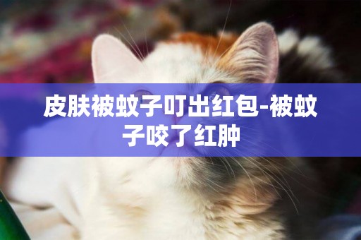 皮膚被蚊子叮出紅包-被蚊子咬了紅腫