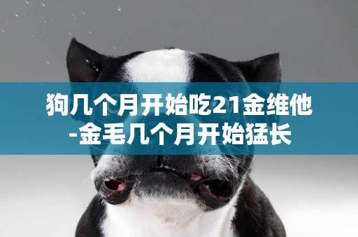 狗幾個月開始吃21金維他-金毛幾個月開始猛長