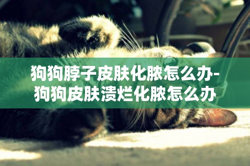 狗狗脖子皮膚化膿怎么辦-狗狗皮膚潰爛化膿怎么辦