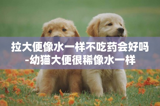 拉大便像水一樣不吃藥會好嗎-幼貓大便很稀像水一樣
