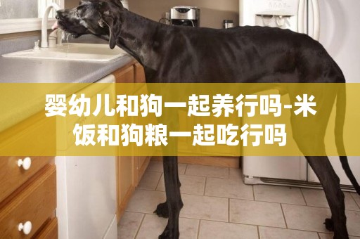 嬰幼兒和狗一起養行嗎-米飯和狗糧一起吃行嗎