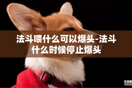 法斗喂什么可以爆頭-法斗什么時候停止爆頭