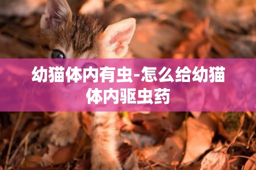 幼貓體內有蟲-怎么給幼貓體內驅蟲藥