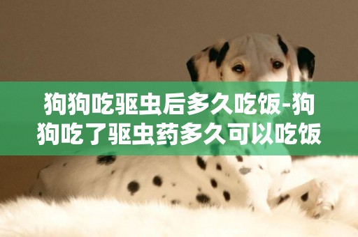 狗狗吃驅蟲后多久吃飯-狗狗吃了驅蟲藥多久可以吃飯