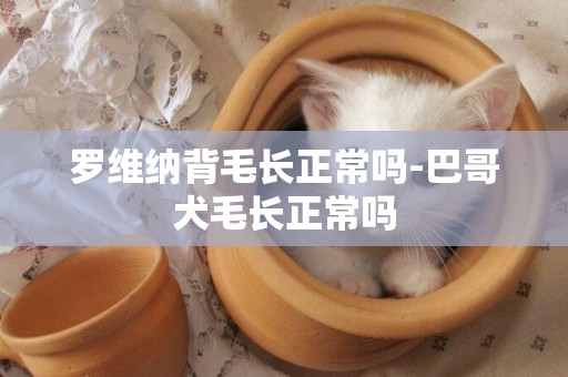 羅維納背毛長正常嗎-巴哥犬毛長正常嗎