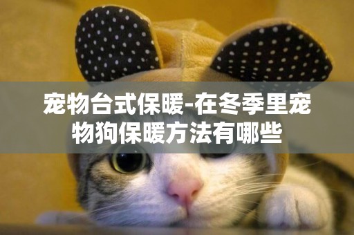 寵物臺式保暖-在冬季里寵物狗保暖方法有哪些
