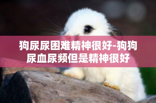 狗尿尿困難精神很好-狗狗尿血尿頻但是精神很好