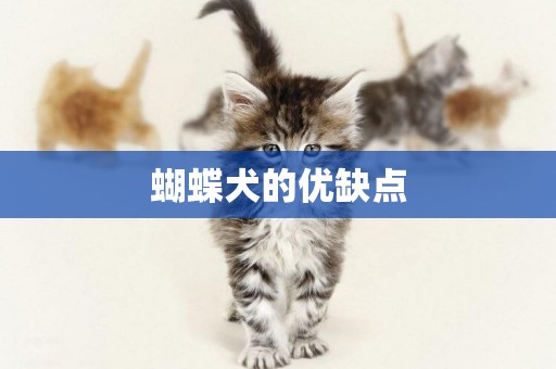 蝴蝶犬的優缺點