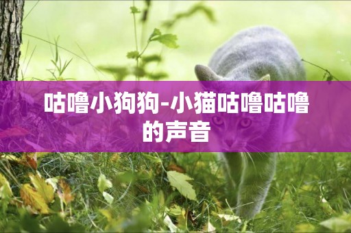 咕嚕小狗狗-小貓咕嚕咕嚕的聲音