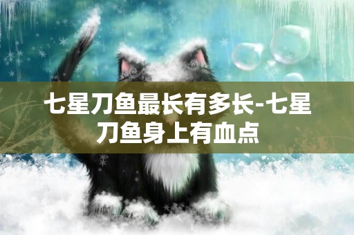 七星刀魚最長有多長-七星刀魚身上有血點