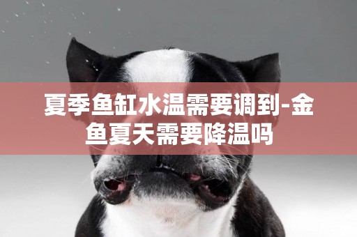 夏季魚缸水溫需要調到-金魚夏天需要降溫嗎