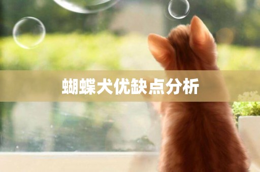 蝴蝶犬優缺點分析