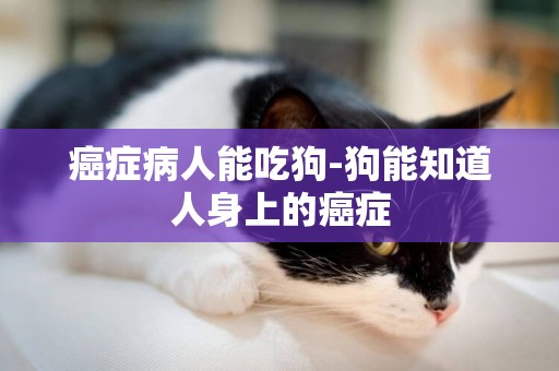 癌癥病人能吃狗-狗能知道人身上的癌癥