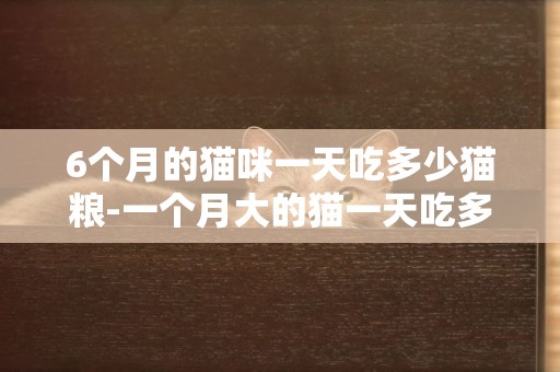 6個月的貓咪一天吃多少貓糧-一個月大的貓一天吃多少貓糧