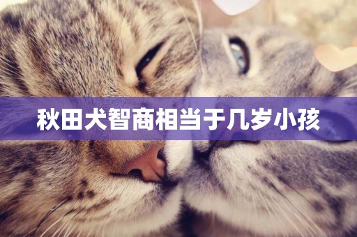 秋田犬智商相當于幾歲小孩