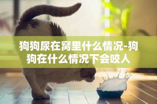 狗狗尿在窩里什么情況-狗狗在什么情況下會咬人