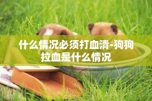 什么情況必須打血清-狗狗拉血是什么情況