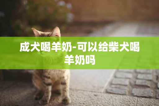 成犬喝羊奶-可以給柴犬喝羊奶嗎