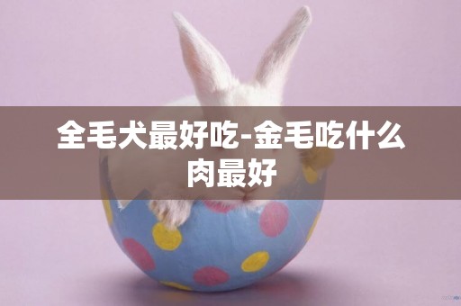 全毛犬最好吃-金毛吃什么肉最好