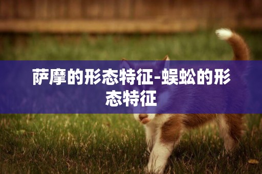 薩摩的形態特征-蜈蚣的形態特征