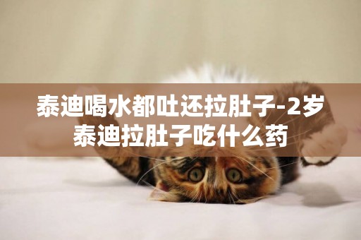泰迪喝水都吐還拉肚子-2歲泰迪拉肚子吃什么藥