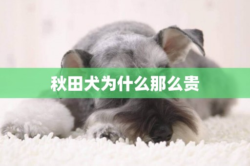 秋田犬為什么那么貴