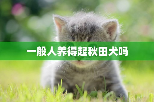 一般人養得起秋田犬嗎