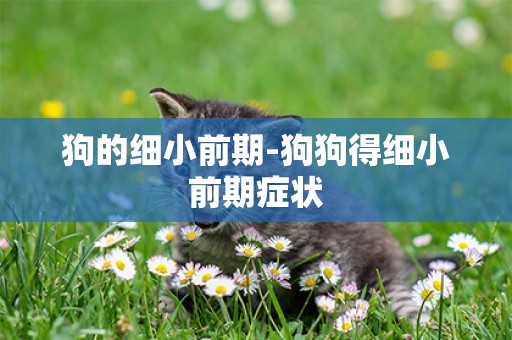 狗的細小前期-狗狗得細小前期癥狀