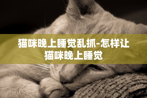 貓咪晚上睡覺亂抓-怎樣讓貓咪晚上睡覺