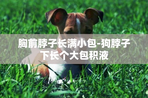 胸前脖子長滿小包-狗脖子下長個大包積液
