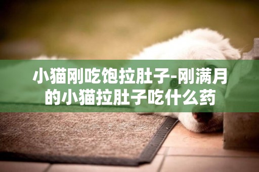 小貓剛吃飽拉肚子-剛滿月的小貓拉肚子吃什么藥