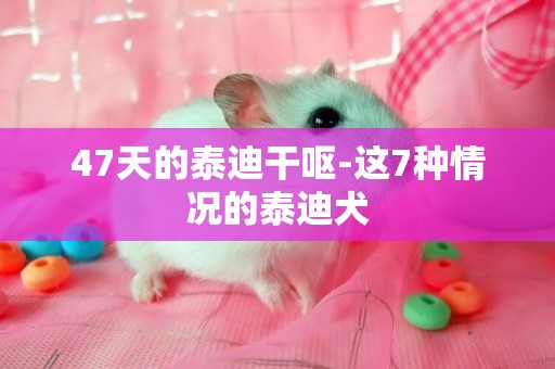 47天的泰迪干嘔-這7種情況的泰迪犬